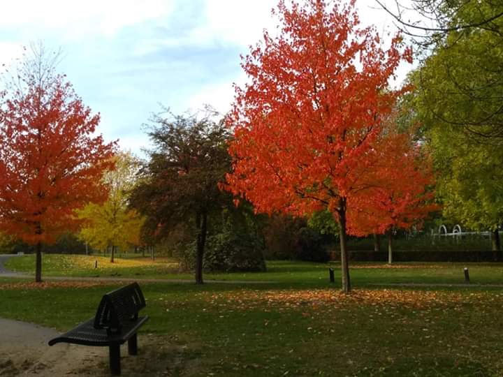 Wandelend Ontspannen 22-11-2019