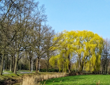 Wandelend Ontspannen