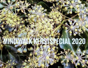 Kerstspecial in bos Birkhoven